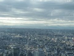 -东京都厅舍