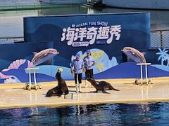 -秦皇岛乐岛海洋王国