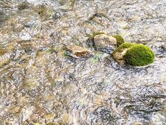 -百里山水画廊