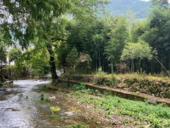 -东天目山风景区