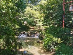 -中国茶叶博物馆(双峰馆区)