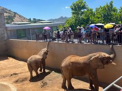 -西霞口神雕山野生动物世界
