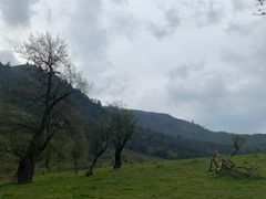 -硗碛藏寨·神木垒景区