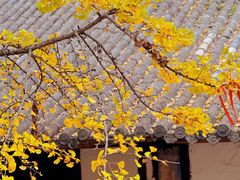 -金堂县云顶石城风景区