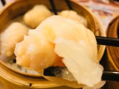 晶莹鲜虾饺-添好运点心专门店(深水埗店)