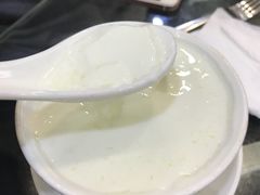 双皮奶-义顺牛奶公司(庇利金街店)