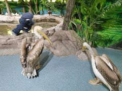 -海合安武汉极地海洋公园