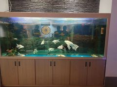 -食悦江南·淮扬菜·烤鸭(亚运村·惠新店)