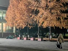 -四川大学(望江校区)