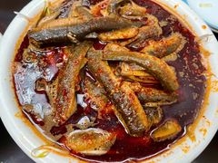 -正兴岷江春泥鳅