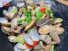 红岛花蛤-老胖串店(浆水泉路店)