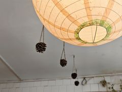 -野草莓自由市场