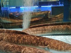 -阿伟海鲜楼·福建菜(延寿店)