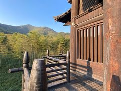 -大唐贡茶院