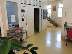 -芭比堂动物医院·犬猫全科·异宠专科(雁塔分院)