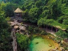 -南海湾森林生态园