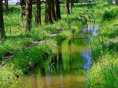 -广富林郊野公园
