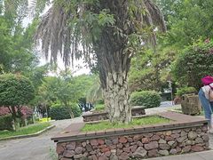 -西昌邛海湿地-月亮湾景区