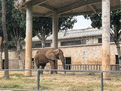 -石家庄市动物园