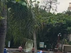 -三亚亚龙湾红树林度假酒店