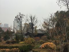 -迎泽公园