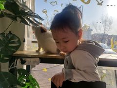 -平行世界·猫咖(首经贸店)
