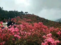 -木兰云雾山