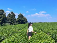 -雅达·阳羡溪山小镇中心