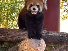 -杭州野生动物世界