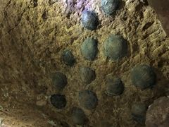 -中国西峡恐龙遗迹园