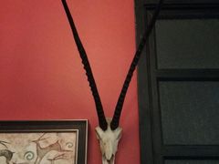 -旅马餐厅(茅家埠店)