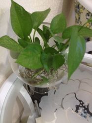 点击看大图 IMG_4928-瓷肌博士·祛痘科技美肤