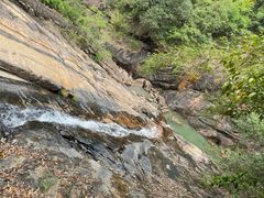 -广州白江湖森林公园