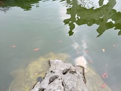 -香积寺