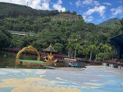 -西双版纳原始森林公园