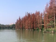 -星湖旅游景区七星岩