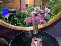 -花隐·美芙炫海菲秀皮肤管理中心