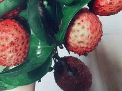 -老字号蛇口德记烧腊饭店·海鲜加工