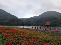 -广州市石门国家森林公园