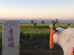 -青海湖国家重点风景名胜区
