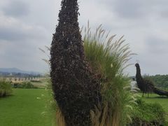 -光明小镇欢乐田园