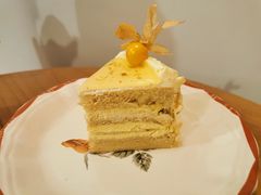 -LuluCake·路鹿蛋糕