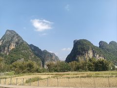 -明仕田园