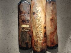 -上海崧泽遗址博物馆