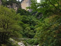 -青峰峡国家森林公园