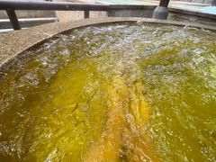 -春晖园度假酒店温泉