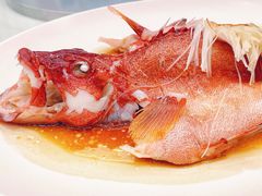 清蒸东星斑-利苑酒家(金宝店)