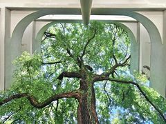 -湖北美术学院(昙华林校区)