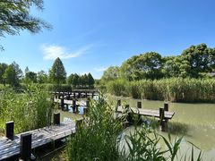 -沙家浜风景区