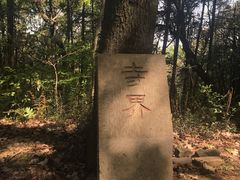 -灵岩山风景区
